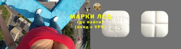 ALPHA PVP Осинники